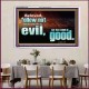 FOLLOW NOT WHICH IS EVIL  Custom Christian Artwork Acrylic Frame  GWAMAZEMENT10309  