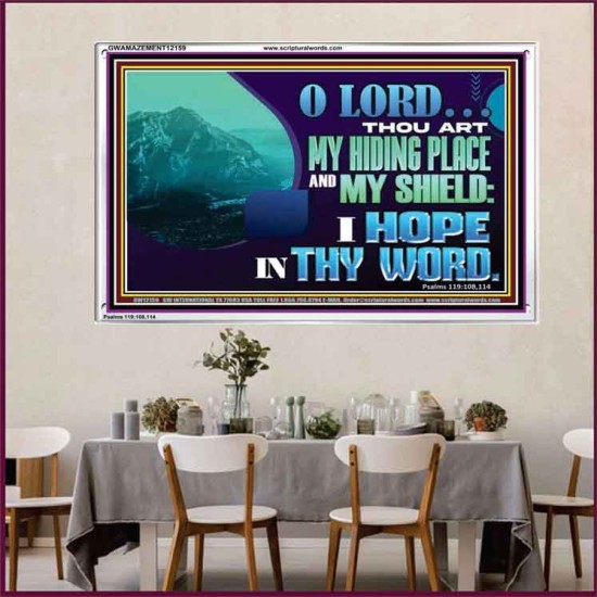 THOU ART MY HIDING PLACE AND SHIELD  Large Custom Acrylic Frame   GWAMAZEMENT12159  