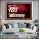 IT SHALL TURN TO YOU FOR A TESTIMONY  Inspirational Bible Verse Acrylic Frame  GWAMAZEMENT10339  