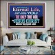 CHRIST JESUS THE ONLY WAY TO ETERNAL LIFE  Sanctuary Wall Acrylic Frame  GWAMAZEMENT10397  