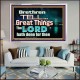 THE LORD DOETH GREAT THINGS  Bible Verse Acrylic Frame  GWAMAZEMENT10481  