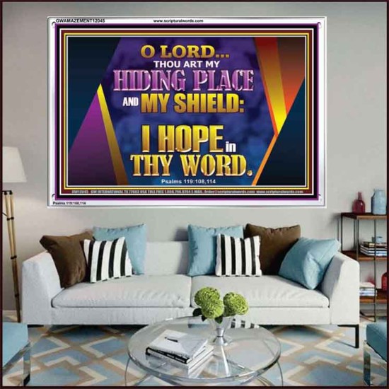 THOU ART MY HIDING PLACE AND SHIELD  Bible Verses Wall Art Acrylic Frame  GWAMAZEMENT12045  