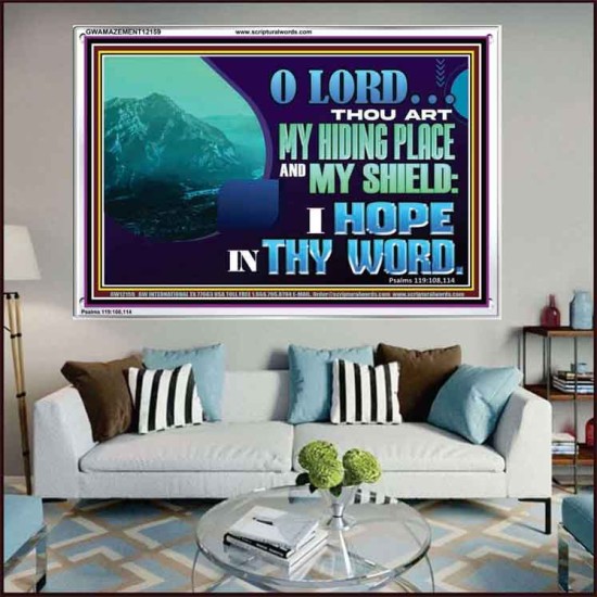 THOU ART MY HIDING PLACE AND SHIELD  Large Custom Acrylic Frame   GWAMAZEMENT12159  