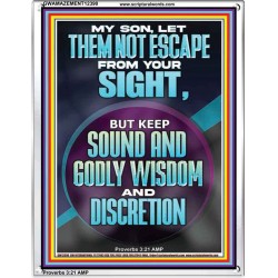 KEEP SOUND AND GODLY WISDOM AND DISCRETION  Bible Verse for Home Portrait  GWAMAZEMENT12390  "24x32"