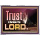 TRUST IN THE NAME OF THE LORD  Unique Scriptural ArtWork  GWAMBASSADOR10303  