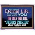 CHRIST JESUS THE ONLY WAY TO ETERNAL LIFE  Sanctuary Wall Acrylic Frame  GWAMBASSADOR10397  "48x32"