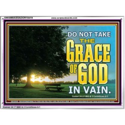 DO NOT TAKE THE GRACE OF GOD IN VAIN  Ultimate Power Acrylic Frame  GWAMBASSADOR10419  "48x32"