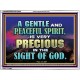 GENTLE AND PEACEFUL SPIRIT VERY PRECIOUS IN GOD SIGHT  Bible Verses to Encourage  Acrylic Frame  GWAMBASSADOR10496  
