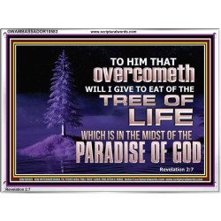 HE THAT OVERCOMETH  Bible Verse Acrylic Frame  GWAMBASSADOR10583  "48x32"