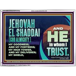 JEHOVAH EL SHADDAI GOD ALMIGHTY OUR GOODNESS FORTRESS HIGH TOWER DELIVERER AND SHIELD  Christian Quotes Acrylic Frame  GWAMBASSADOR10752  "48x32"