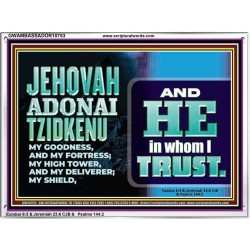 JEHOVAH ADONAI TZIDKENU OUR RIGHTEOUSNESS OUR GOODNESS FORTRESS HIGH TOWER DELIVERER AND SHIELD  Christian Quotes Acrylic Frame  GWAMBASSADOR10753  "48x32"