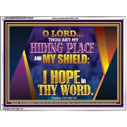 THOU ART MY HIDING PLACE AND SHIELD  Bible Verses Wall Art Acrylic Frame  GWAMBASSADOR12045  "48x32"