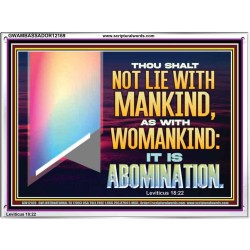 THOU SHALT NOT LIE WITH MANKIND AS WITH WOMANKIND IT IS ABOMINATION  Bible Verse for Home Acrylic Frame  GWAMBASSADOR12169  "48x32"