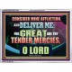 GREAT ARE THY TENDER MERCIES O LORD  Unique Scriptural Picture  GWAMBASSADOR12180  