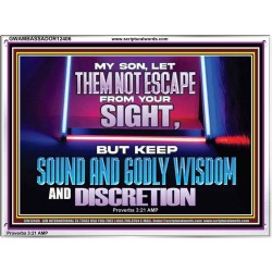 KEEP SOUND AND GODLY WISDOM AND DISCRETION  Church Acrylic Frame  GWAMBASSADOR12406  "48x32"
