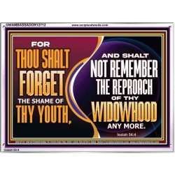 THOU SHALT FORGET THE SHAME OF THY YOUTH  Encouraging Bible Verse Acrylic Frame  GWAMBASSADOR12712  "48x32"