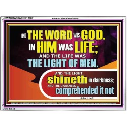 THE LIGHT SHINETH IN DARKNESS YET THE DARKNESS DID NOT OVERCOME IT  Ultimate Power Picture  GWAMBASSADOR12987  "48x32"
