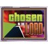 CHOSEN IN THE LORD  Wall Décor Acrylic Frame  GWAMBASSADOR13099  "48x32"