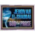 JEHOVAH EL SHADDAI GOD OF MY PRAISE  Modern Christian Wall Décor Acrylic Frame  GWAMBASSADOR13120  "48x32"