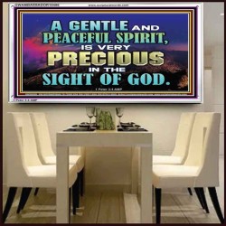 GENTLE AND PEACEFUL SPIRIT VERY PRECIOUS IN GOD SIGHT  Bible Verses to Encourage  Acrylic Frame  GWAMBASSADOR10496  "48x32"