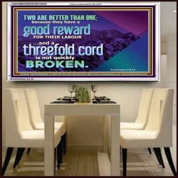 TWO ARE BETTER THAN ONE  Contemporary Christian Wall Art Acrylic Frame  GWAMBASSADOR10548  "48x32"