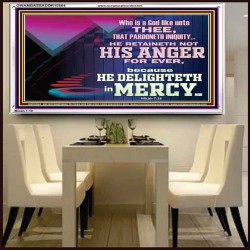 THE LORD DELIGHTETH IN MERCY  Contemporary Christian Wall Art Acrylic Frame  GWAMBASSADOR10564  "48x32"