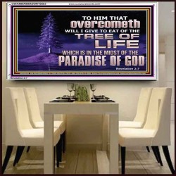 HE THAT OVERCOMETH  Bible Verse Acrylic Frame  GWAMBASSADOR10583  "48x32"