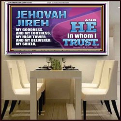 JEHOVAH JIREH OUR GOODNESS FORTRESS HIGH TOWER DELIVERER AND SHIELD  Encouraging Bible Verses Acrylic Frame  GWAMBASSADOR10750  "48x32"