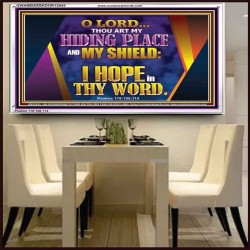 THOU ART MY HIDING PLACE AND SHIELD  Bible Verses Wall Art Acrylic Frame  GWAMBASSADOR12045  "48x32"