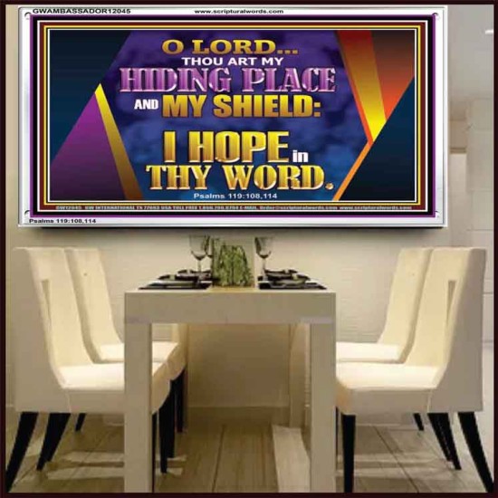 THOU ART MY HIDING PLACE AND SHIELD  Bible Verses Wall Art Acrylic Frame  GWAMBASSADOR12045  