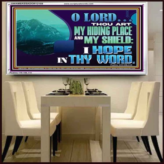 THOU ART MY HIDING PLACE AND SHIELD  Large Custom Acrylic Frame   GWAMBASSADOR12159  