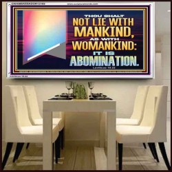 THOU SHALT NOT LIE WITH MANKIND AS WITH WOMANKIND IT IS ABOMINATION  Bible Verse for Home Acrylic Frame  GWAMBASSADOR12169  "48x32"