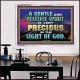 GENTLE AND PEACEFUL SPIRIT VERY PRECIOUS IN GOD SIGHT  Bible Verses to Encourage  Acrylic Frame  GWAMBASSADOR10496  