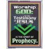 TESTIMONY OF JESUS IS THE SPIRIT OF PROPHECY  Kitchen Wall Décor  GWAMBASSADOR10046  "32x48"