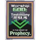 TESTIMONY OF JESUS IS THE SPIRIT OF PROPHECY  Kitchen Wall Décor  GWAMBASSADOR10046  