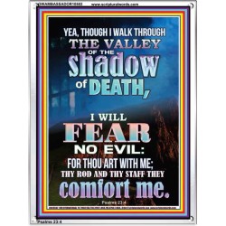 WALK THROUGH THE VALLEY OF THE SHADOW OF DEATH  Scripture Art  GWAMBASSADOR10502  "32x48"