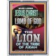 LAMB OF GOD THE LION OF THE TRIBE OF JUDA  Unique Power Bible Portrait  GWAMBASSADOR12945  