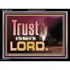 TRUST IN THE NAME OF THE LORD  Unique Scriptural ArtWork  GWAMEN10303  