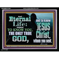 ETERNAL LIFE ONLY THROUGH CHRIST JESUS  Children Room  GWAMEN10396  "33x25"