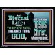 ETERNAL LIFE ONLY THROUGH CHRIST JESUS  Children Room  GWAMEN10396  