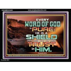 EVERY WORD OF GOD IS PURE TRUST HIM  Unique Scriptural Acrylic Frame  GWAMEN10408  