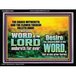 THE WORD OF THE LORD ENDURETH FOR EVER  Christian Wall Décor Acrylic Frame  GWAMEN10493  "33x25"