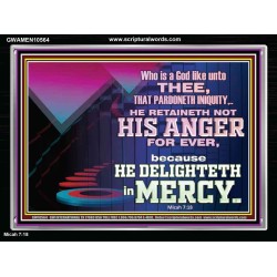 THE LORD DELIGHTETH IN MERCY  Contemporary Christian Wall Art Acrylic Frame  GWAMEN10564  "33x25"