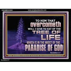 HE THAT OVERCOMETH  Bible Verse Acrylic Frame  GWAMEN10583  "33x25"