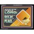 GO OUT WITH JOY AND BE LED FORTH WITH PEACE  Custom Inspiration Bible Verse Acrylic Frame  GWAMEN10617  "33x25"