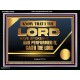 THE LORD HAVE SPOKEN IT AND PERFORMED IT  Inspirational Bible Verse Acrylic Frame  GWAMEN10629  