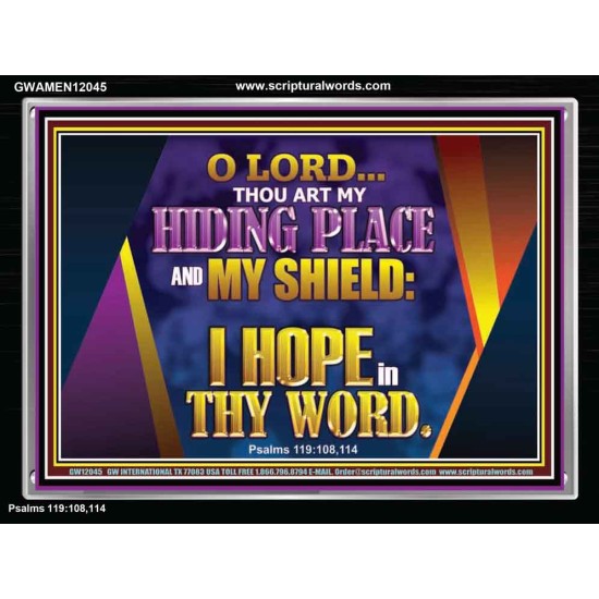 THOU ART MY HIDING PLACE AND SHIELD  Bible Verses Wall Art Acrylic Frame  GWAMEN12045  