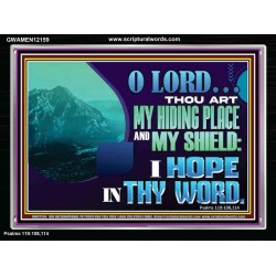 THOU ART MY HIDING PLACE AND SHIELD  Large Custom Acrylic Frame   GWAMEN12159  "33x25"