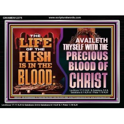 AVAILETH THYSELF WITH THE PRECIOUS BLOOD OF CHRIST  Children Room  GWAMEN12375  "33x25"