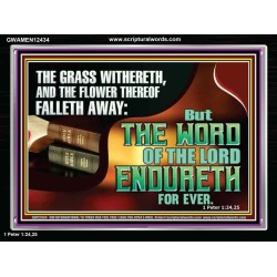 THE WORD OF THE LORD ENDURETH FOR EVER  Sanctuary Wall Acrylic Frame  GWAMEN12434  "33x25"